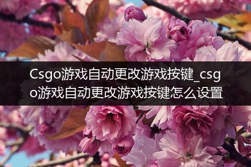 Csgo游戏自动更改游戏按键_csgo游戏自动更改游戏按键怎么设置