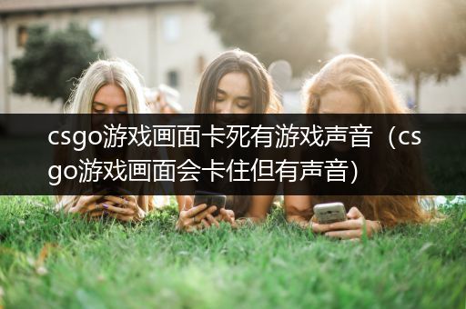 csgo游戏画面卡死有游戏声音（csgo游戏画面会卡住但有声音）