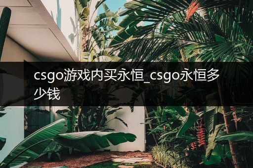 csgo游戏内买永恒_csgo永恒多少钱