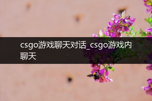 csgo游戏聊天对话_csgo游戏内聊天