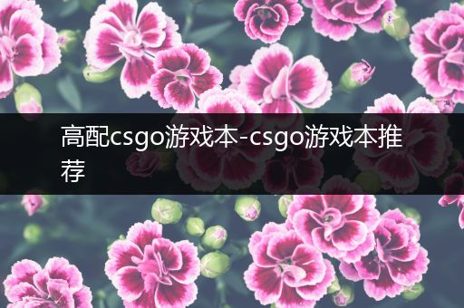 高配csgo游戏本-csgo游戏本推荐