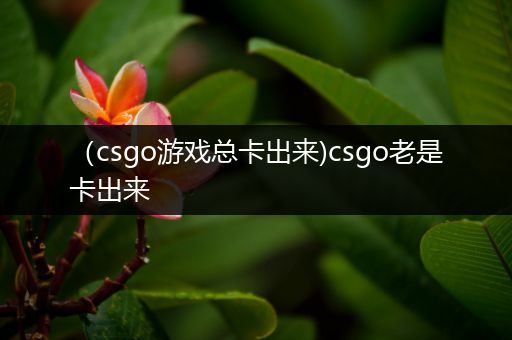 （csgo游戏总卡出来)csgo老是卡出来