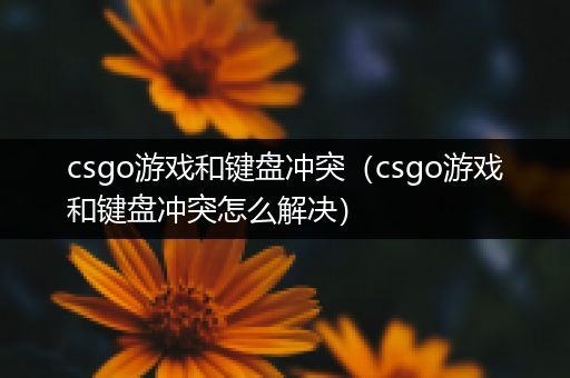 csgo游戏和键盘冲突（csgo游戏和键盘冲突怎么解决）