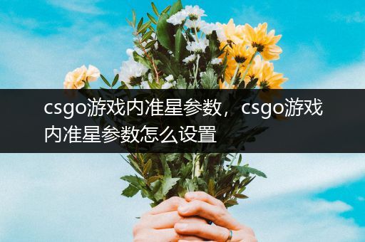 csgo游戏内准星参数，csgo游戏内准星参数怎么设置