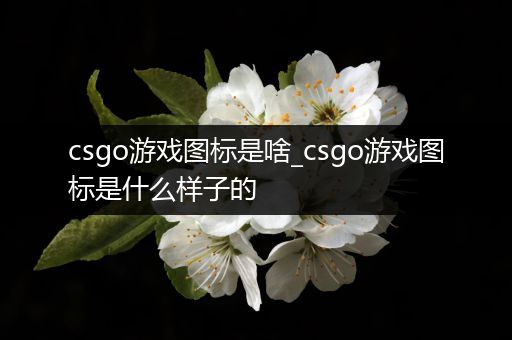 csgo游戏图标是啥_csgo游戏图标是什么样子的