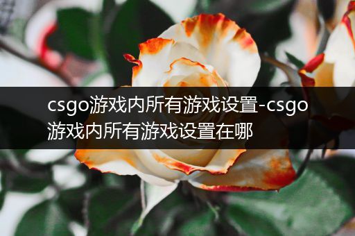 csgo游戏内所有游戏设置-csgo游戏内所有游戏设置在哪