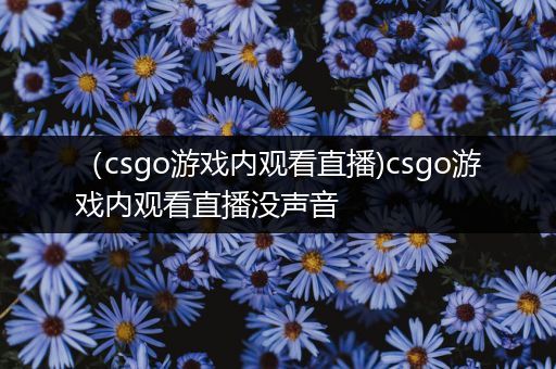 （csgo游戏内观看直播)csgo游戏内观看直播没声音