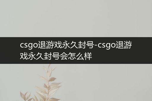 csgo退游戏永久封号-csgo退游戏永久封号会怎么样