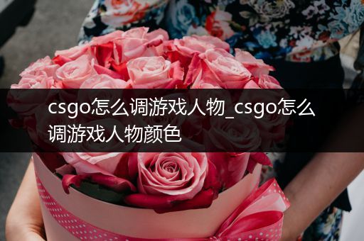 csgo怎么调游戏人物_csgo怎么调游戏人物颜色