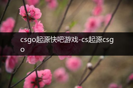 csgo起源快吧游戏-cs起源csgo