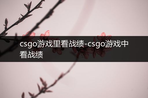 csgo游戏里看战绩-csgo游戏中看战绩