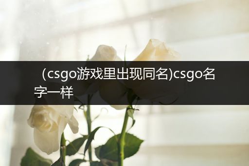 （csgo游戏里出现同名)csgo名字一样