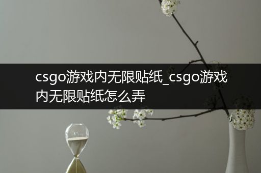 csgo游戏内无限贴纸_csgo游戏内无限贴纸怎么弄
