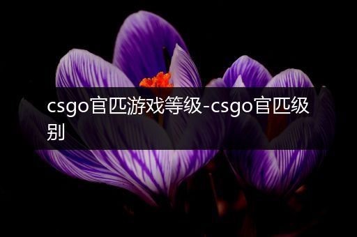 csgo官匹游戏等级-csgo官匹级别