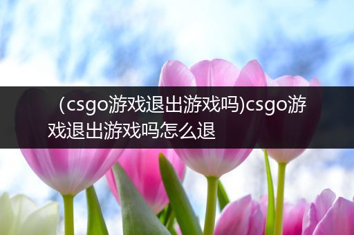 （csgo游戏退出游戏吗)csgo游戏退出游戏吗怎么退