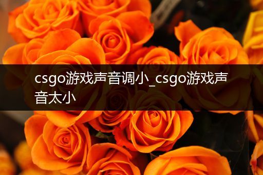 csgo游戏声音调小_csgo游戏声音太小
