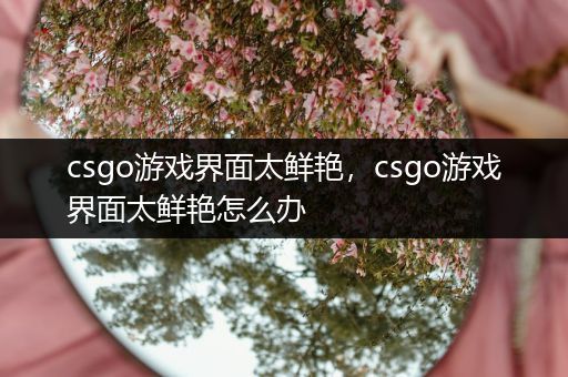 csgo游戏界面太鲜艳，csgo游戏界面太鲜艳怎么办