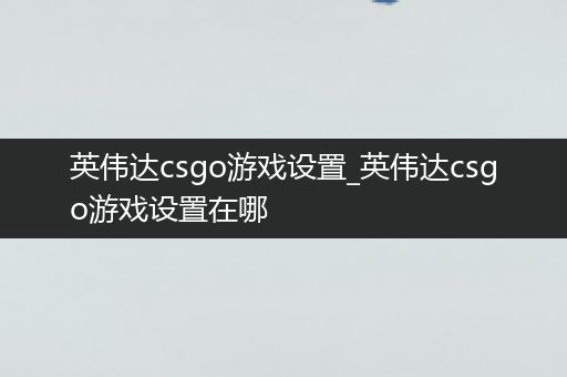 英伟达csgo游戏设置_英伟达csgo游戏设置在哪