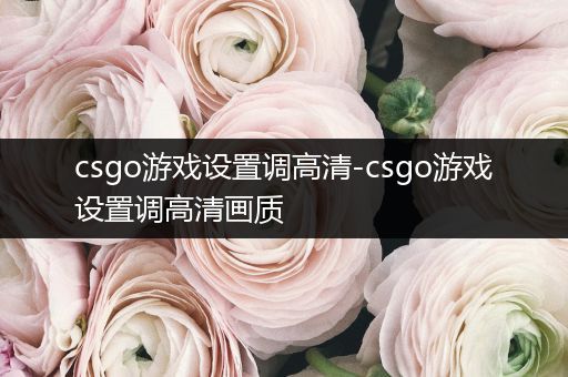csgo游戏设置调高清-csgo游戏设置调高清画质