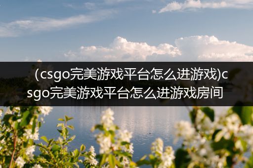 （csgo完美游戏平台怎么进游戏)csgo完美游戏平台怎么进游戏房间