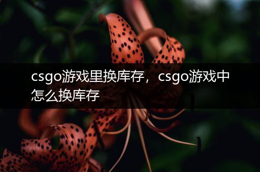 csgo游戏里换库存，csgo游戏中怎么换库存