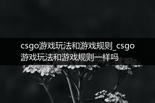 csgo游戏玩法和游戏规则_csgo游戏玩法和游戏规则一样吗