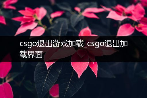 csgo退出游戏加载_csgo退出加载界面