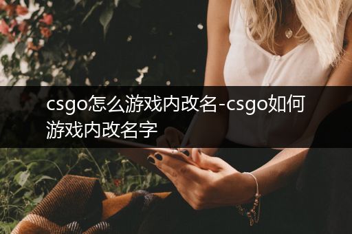csgo怎么游戏内改名-csgo如何游戏内改名字