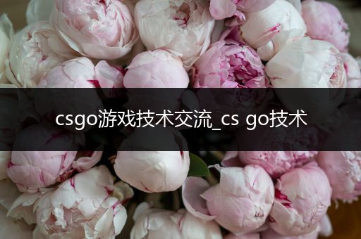 csgo游戏技术交流_cs go技术