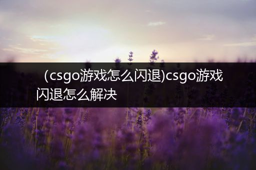（csgo游戏怎么闪退)csgo游戏闪退怎么解决