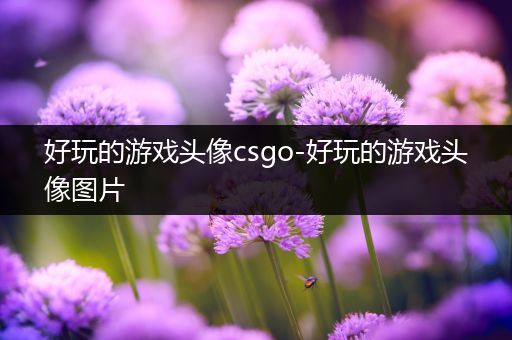 好玩的游戏头像csgo-好玩的游戏头像图片