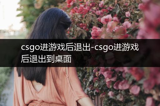 csgo进游戏后退出-csgo进游戏后退出到桌面