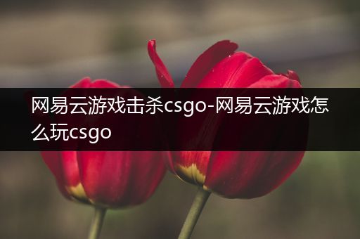 网易云游戏击杀csgo-网易云游戏怎么玩csgo