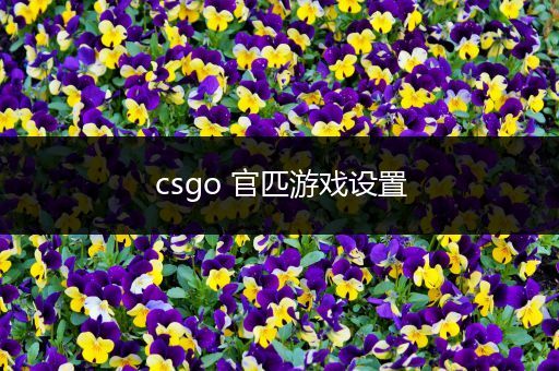 csgo 官匹游戏设置