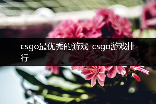 csgo最优秀的游戏_csgo游戏排行