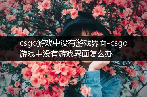 csgo游戏中没有游戏界面-csgo游戏中没有游戏界面怎么办