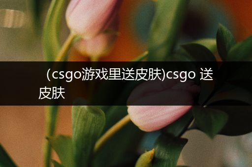 （csgo游戏里送皮肤)csgo 送皮肤