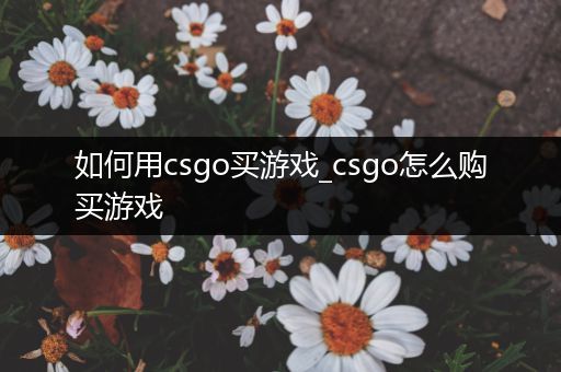 如何用csgo买游戏_csgo怎么购买游戏