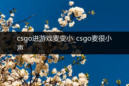 csgo进游戏麦变小_csgo麦很小声