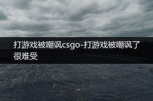 打游戏被嘲讽csgo-打游戏被嘲讽了很难受