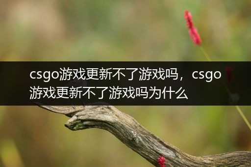 csgo游戏更新不了游戏吗，csgo游戏更新不了游戏吗为什么