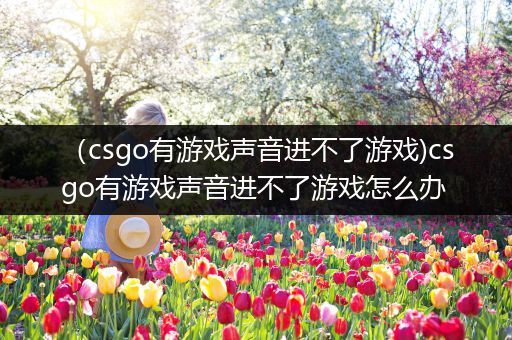 （csgo有游戏声音进不了游戏)csgo有游戏声音进不了游戏怎么办