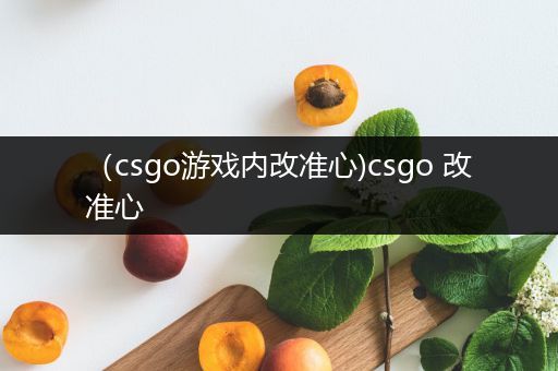 （csgo游戏内改准心)csgo 改准心