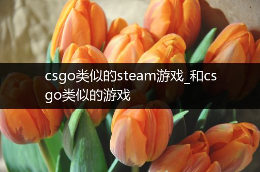 csgo类似的steam游戏_和csgo类似的游戏