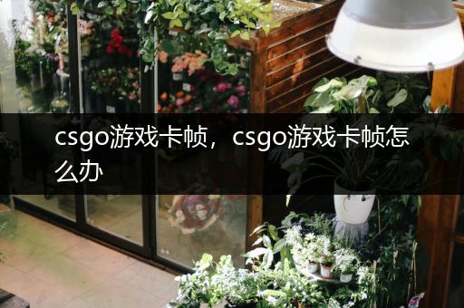 csgo游戏卡帧，csgo游戏卡帧怎么办