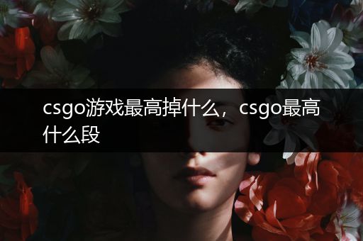 csgo游戏最高掉什么，csgo最高什么段