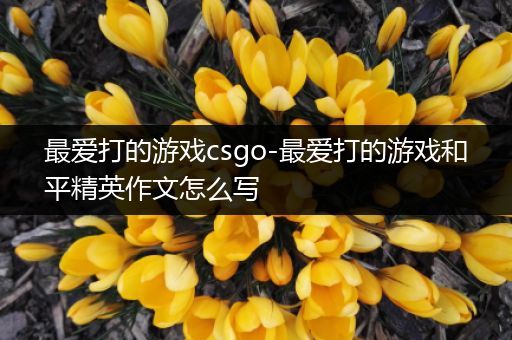 最爱打的游戏csgo-最爱打的游戏和平精英作文怎么写