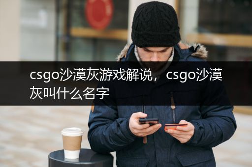csgo沙漠灰游戏解说，csgo沙漠灰叫什么名字