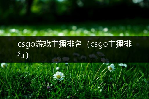 csgo游戏主播排名（csgo主播排行）