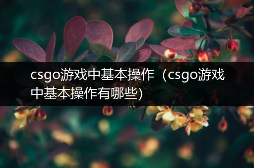 csgo游戏中基本操作（csgo游戏中基本操作有哪些）